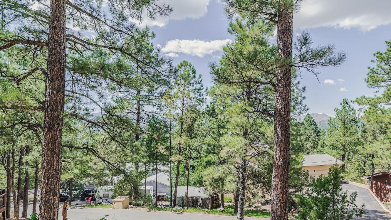 Photo of Others in Ruidoso