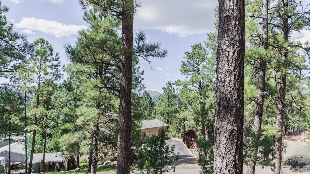 Photo of Outdoor in Ruidoso