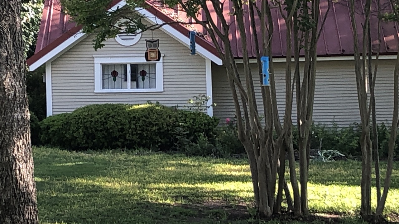 Photo of Outdoor in Hamilton