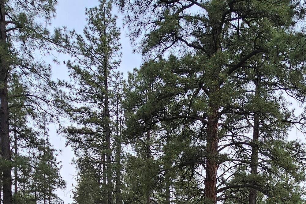 Photo of Outdoor in Jemez Springs