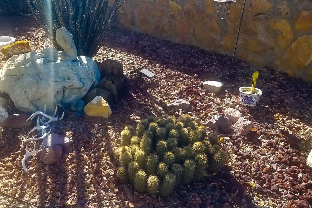 Photo of Others in Mesilla Park