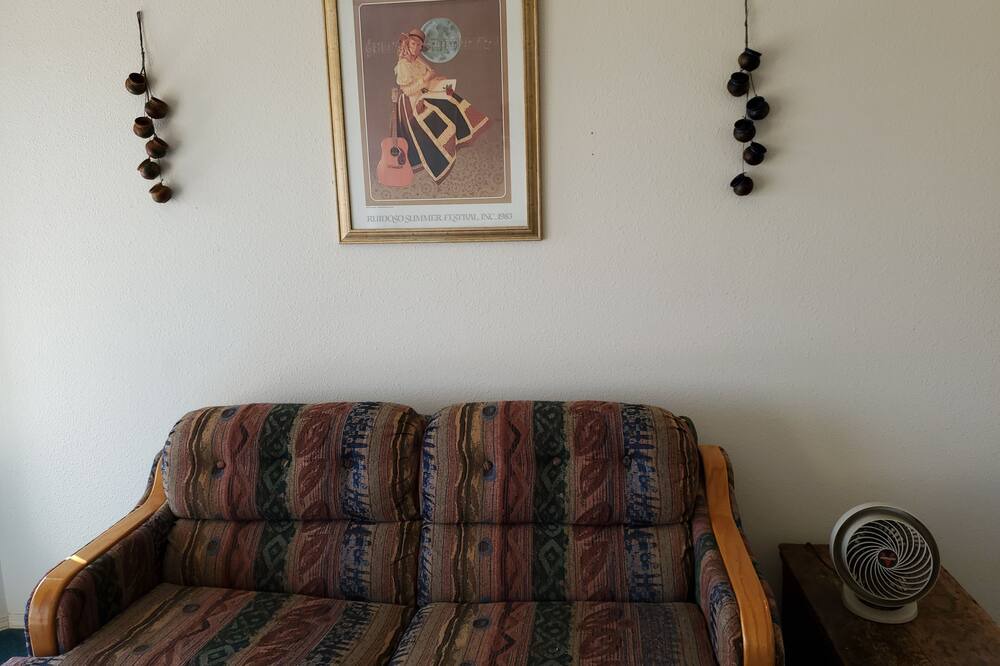 Photo of Livingroom in Elephant Butte