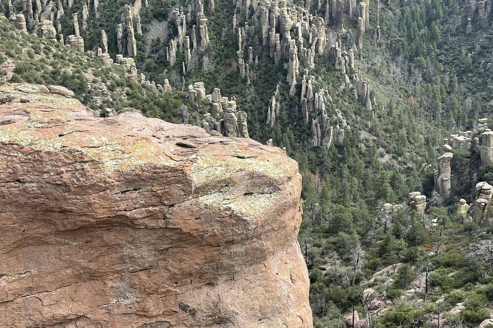 Photo of Outdoor in Pearce
