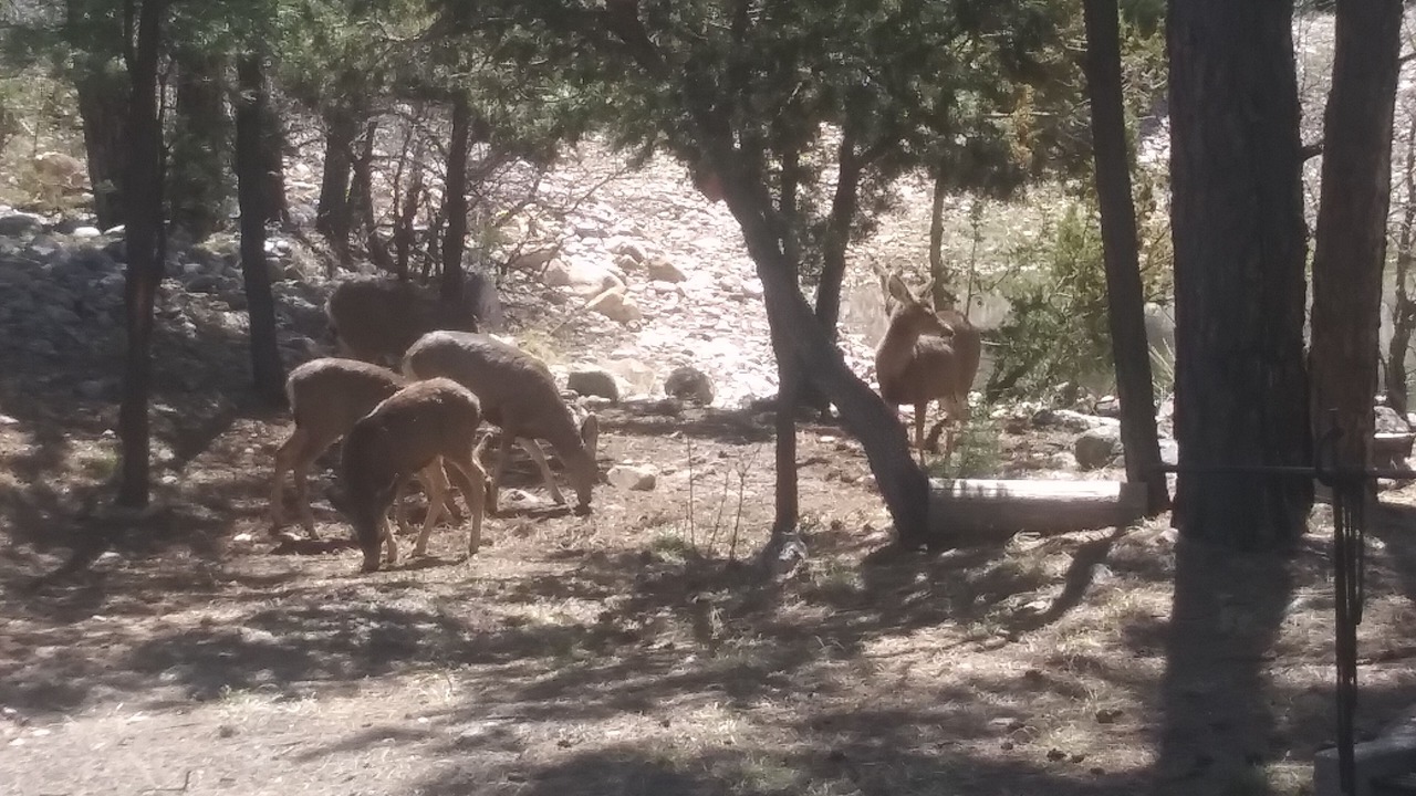 Photo of Outdoor in Mountainair