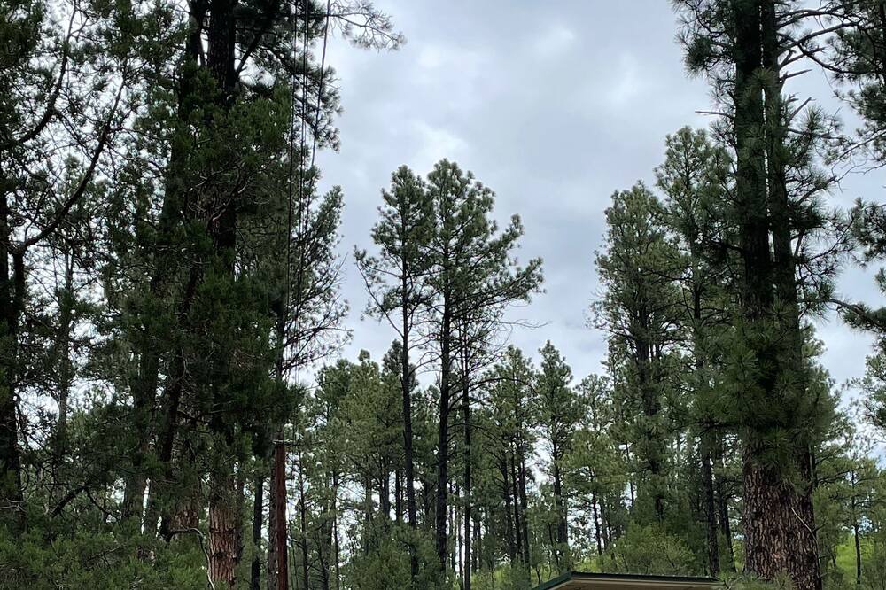 Photo of Outdoor in Ruidoso