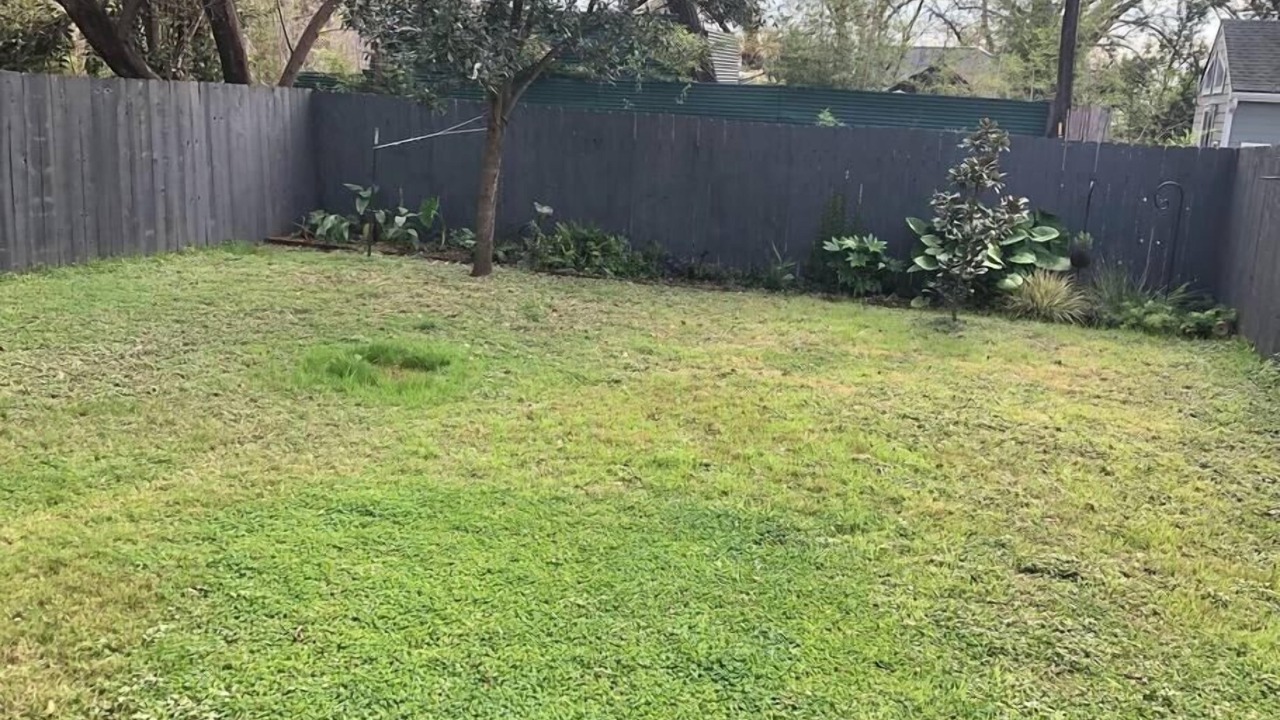 Photo of Outdoor in Central East Austin