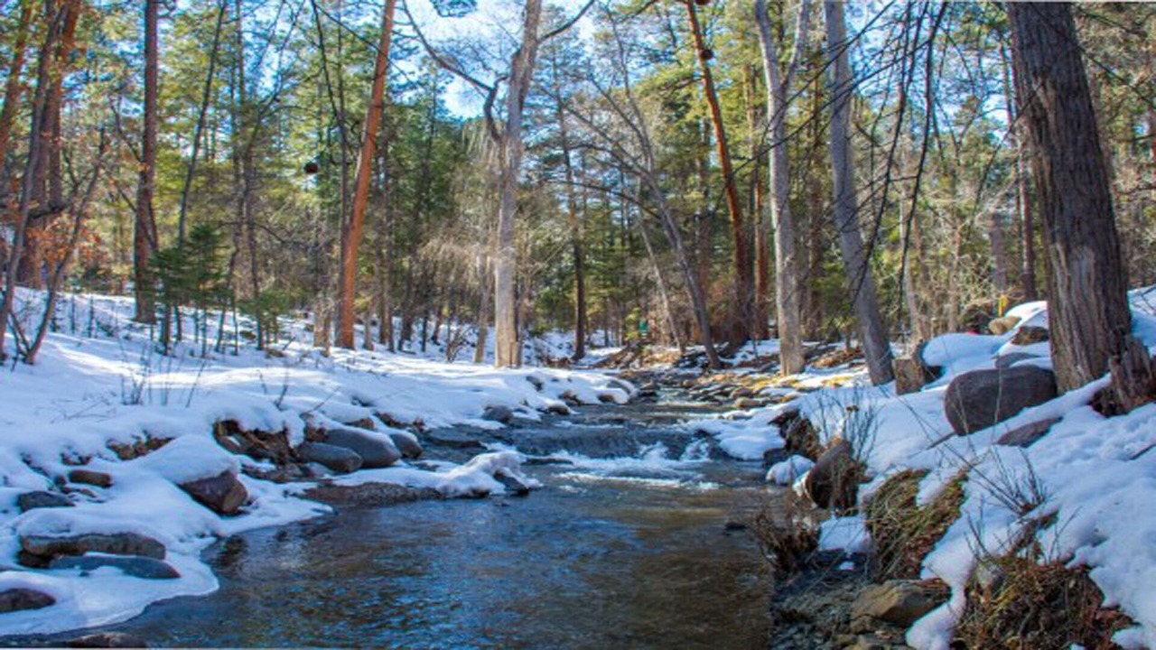 Photo of Others in Ruidoso