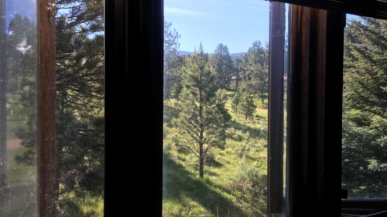 Photo of Others in Angel Fire