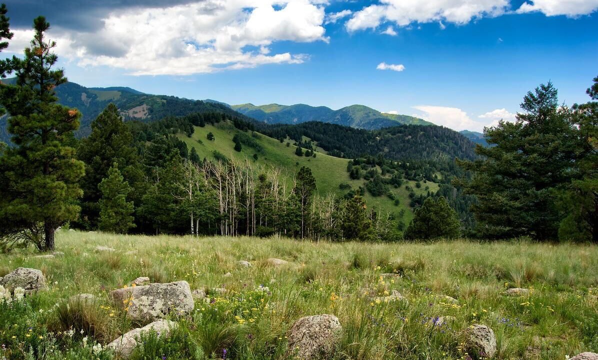 Photo of Others in Ruidoso