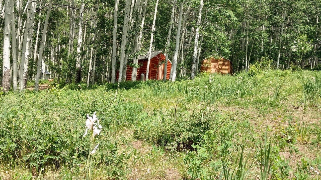 Photo of Outdoor in Monticello