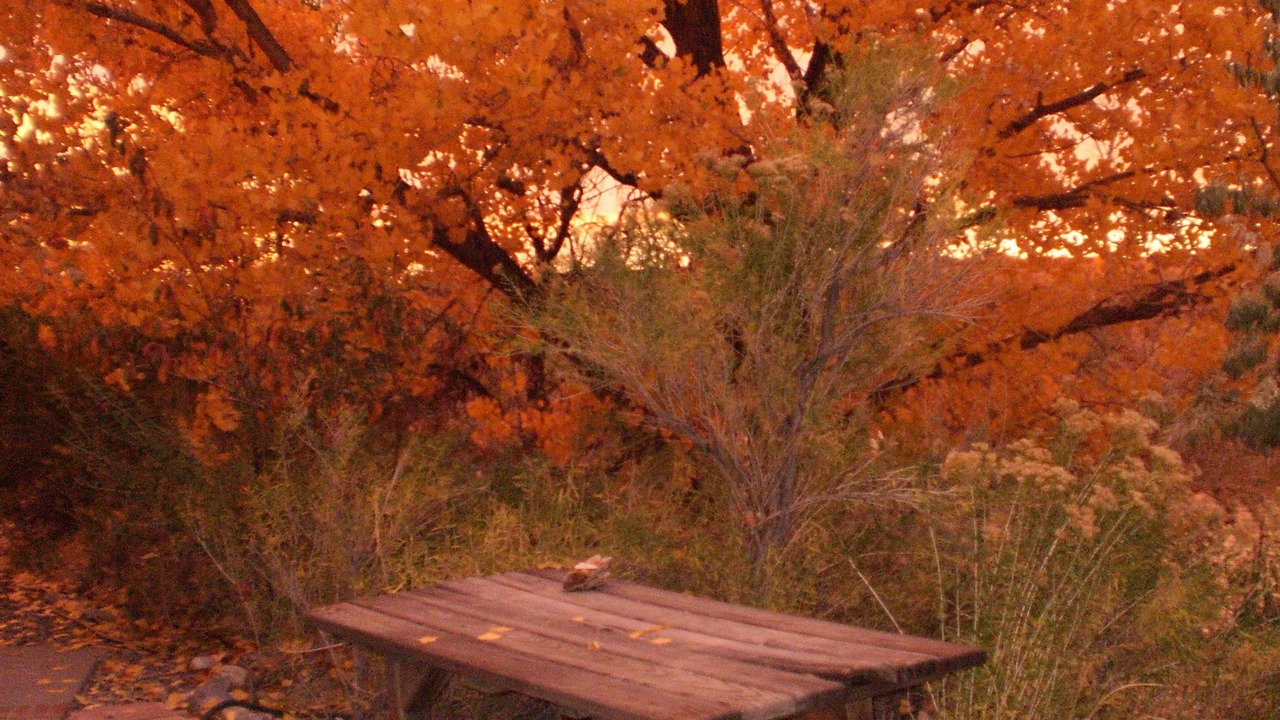 Photo of Outdoor in Farmington