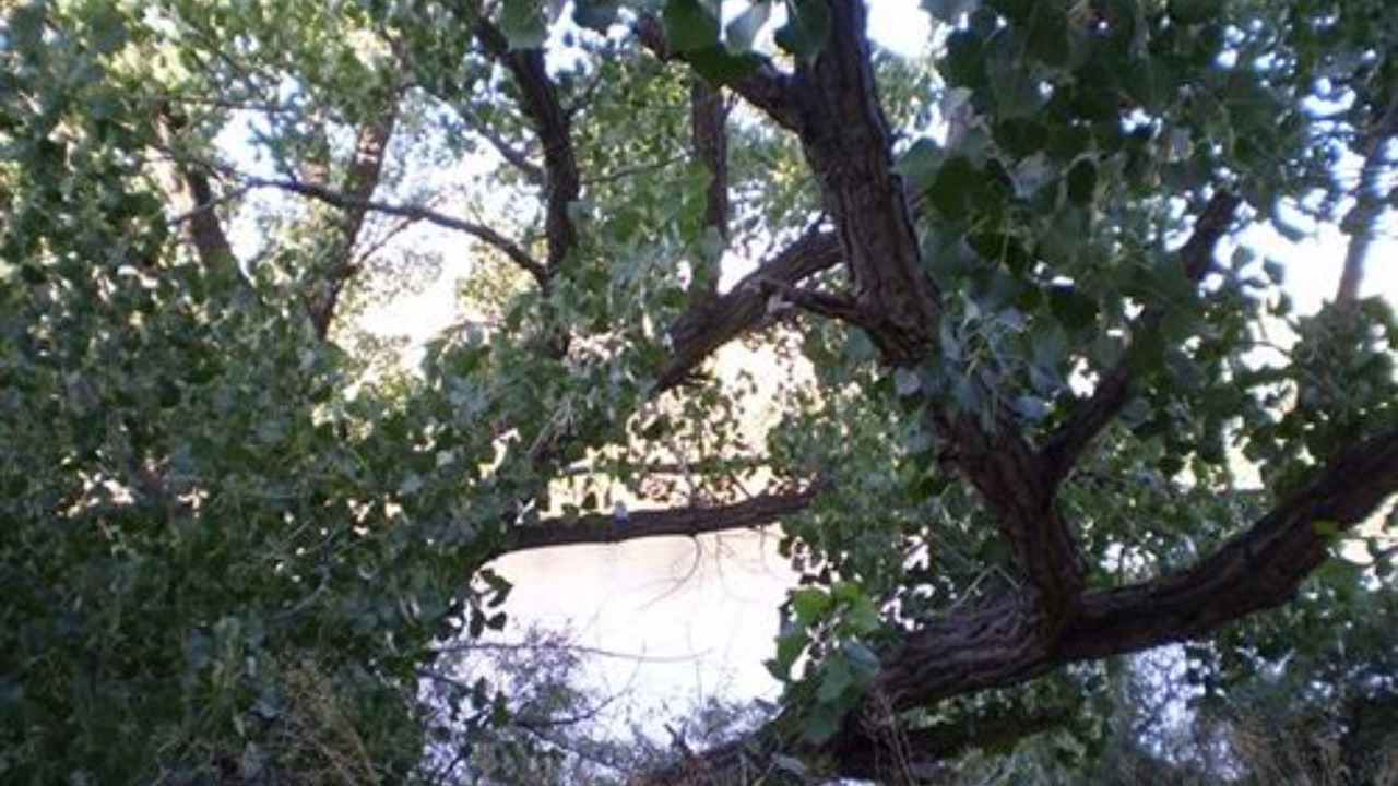 Photo of Others in Farmington