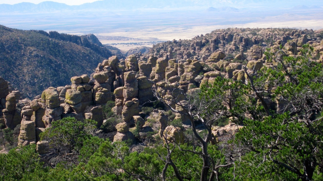 Photo of Outdoor in Pearce