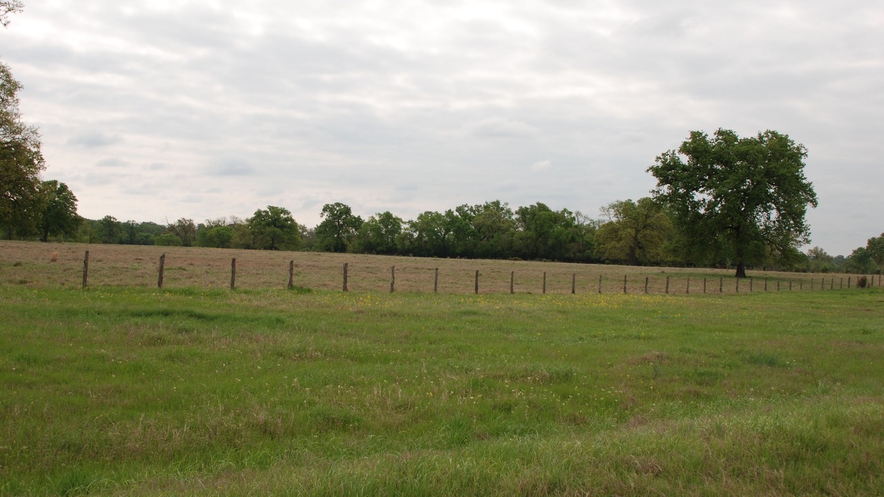 Photo of Outdoor in Madisonville