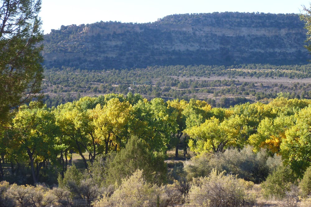 Photo of Others in Navajo Dam