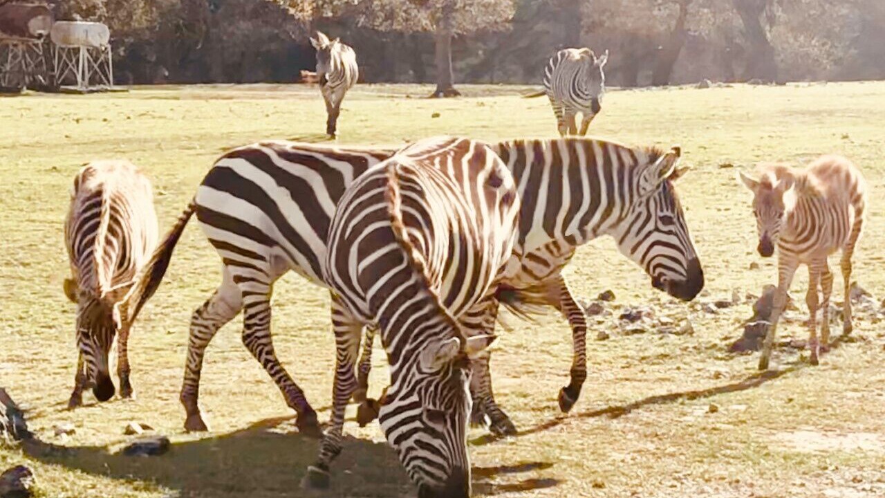 Photo of Others in Rio Frio
