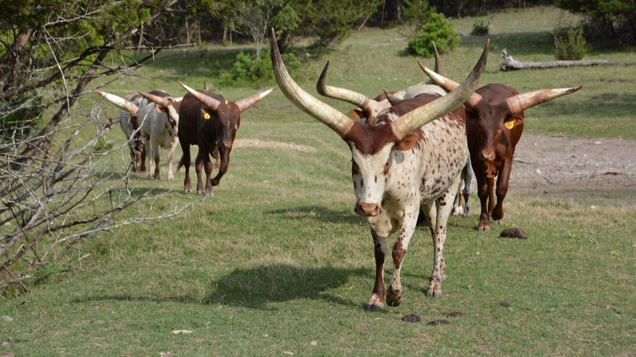 Photo of Outdoor in Rio Frio