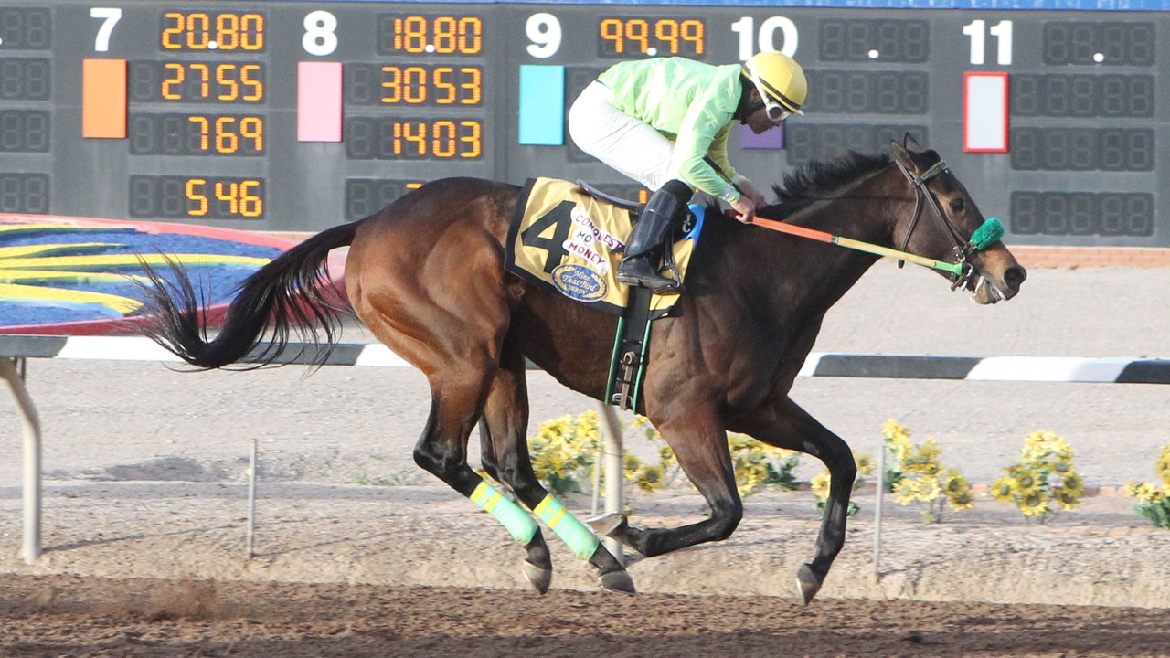 Photo of Others in Sunland Park