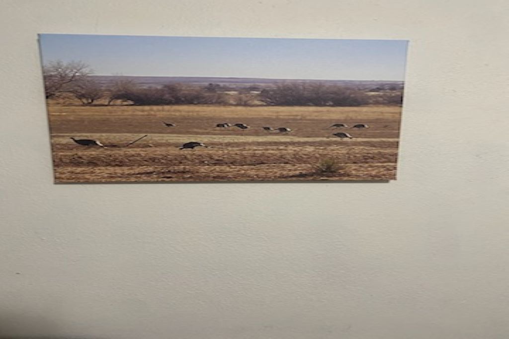 Photo of Others in Tucumcari