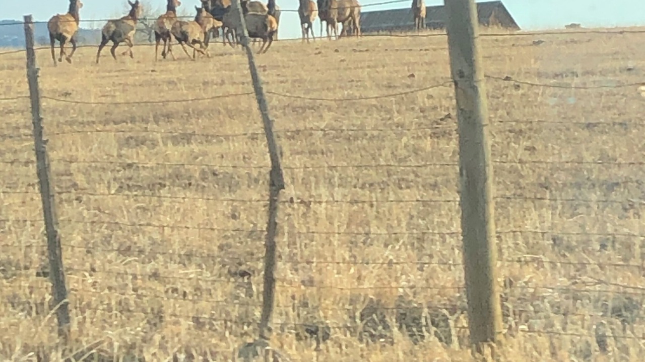 Photo of Others in Durango