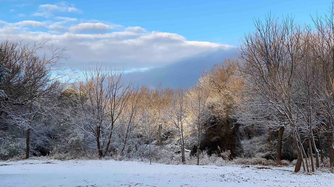 Photo of Outdoor in Buffalo Gap