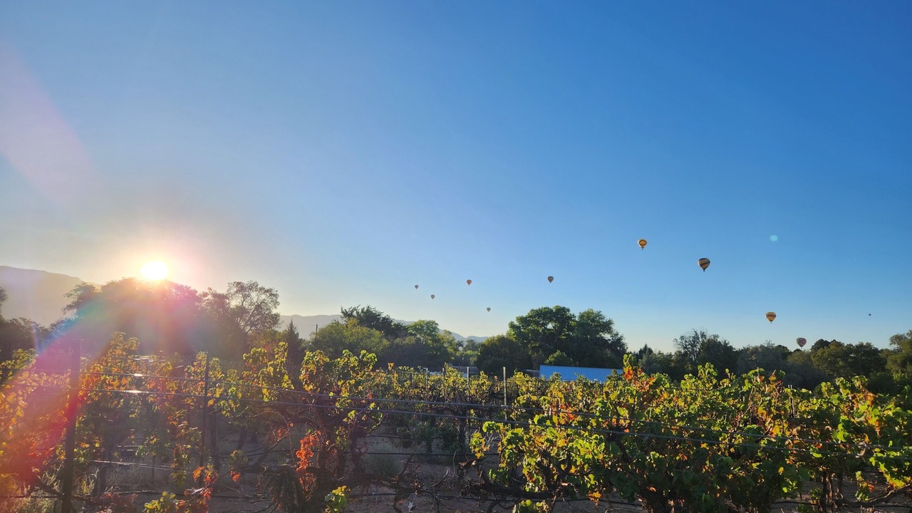 Photo of Others in Corrales