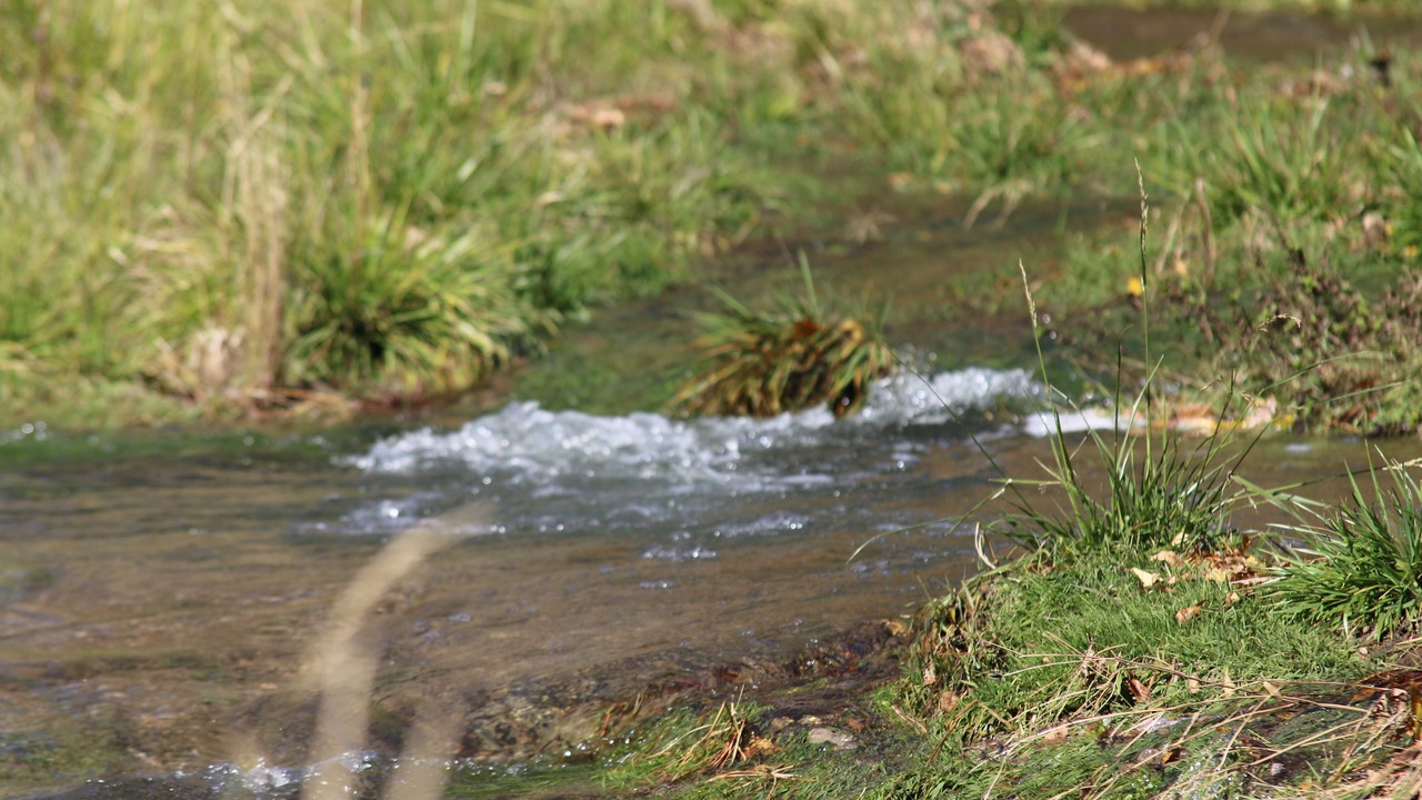 Photo of Others in Alto