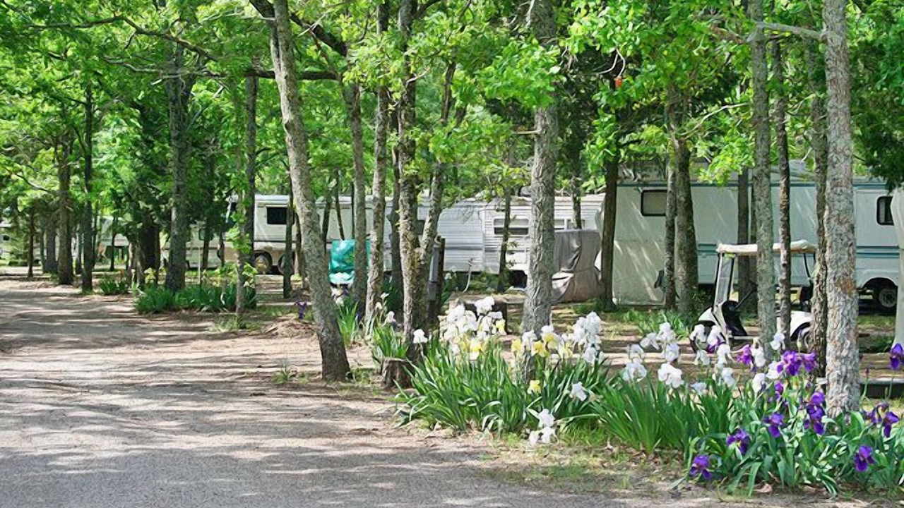Photo of Outdoor in Point