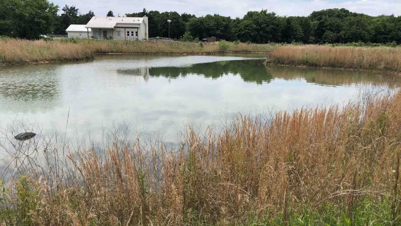 Photo of Outdoor in Valley View
