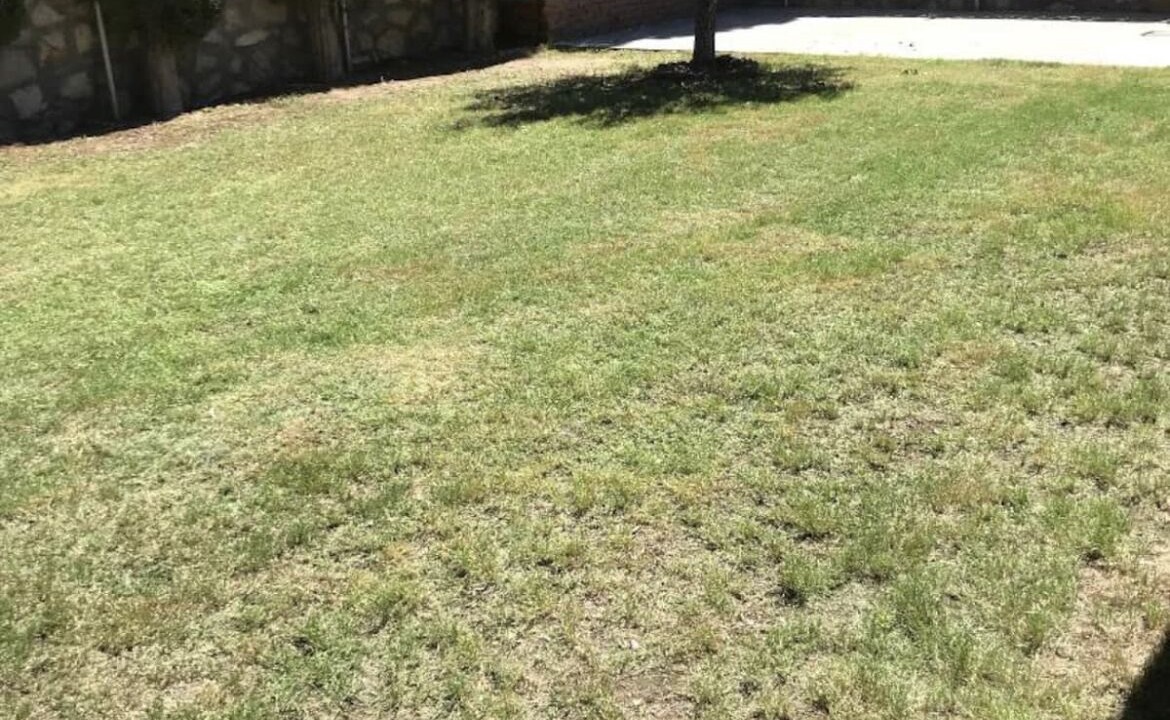 Photo of Outdoor in Biggs Field