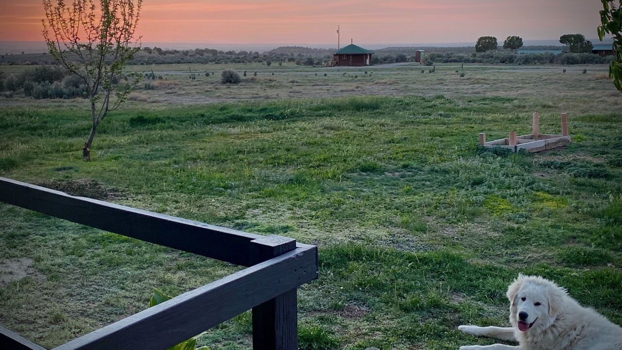 Photo of Outdoor in Cortez