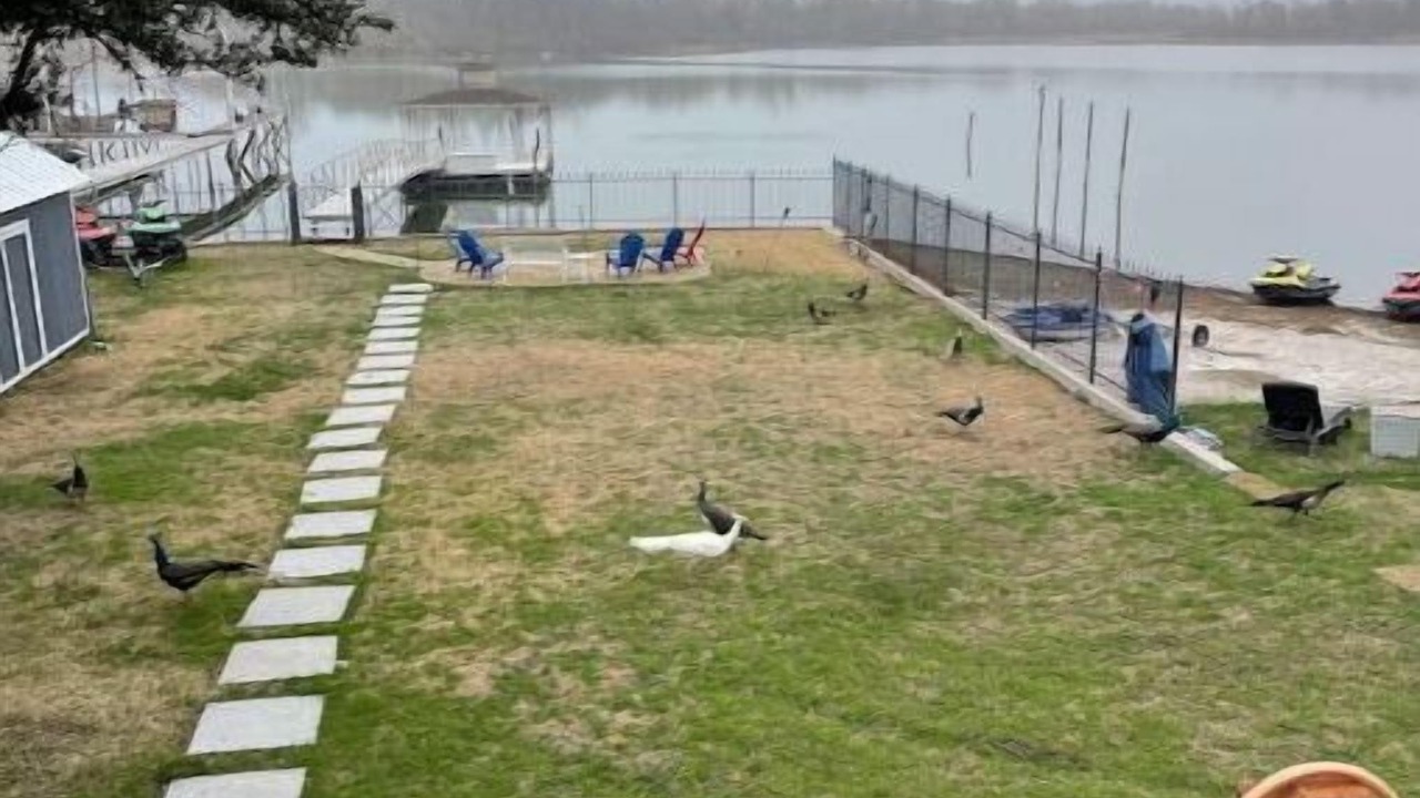 Photo of Outdoor in Pecan Acres