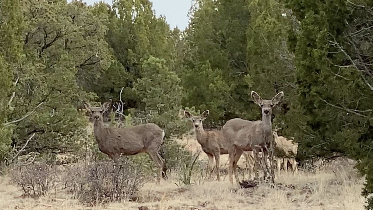 Photo of Others in Solano