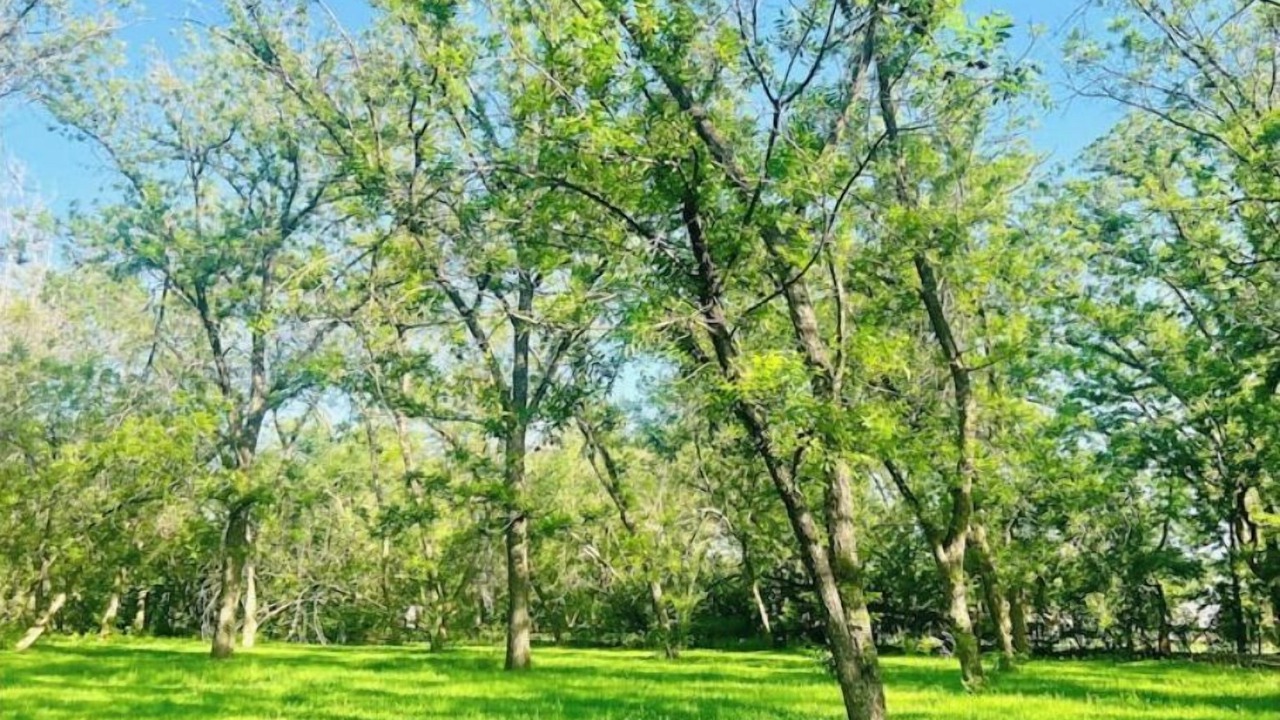 Photo of Outdoor in El Paso