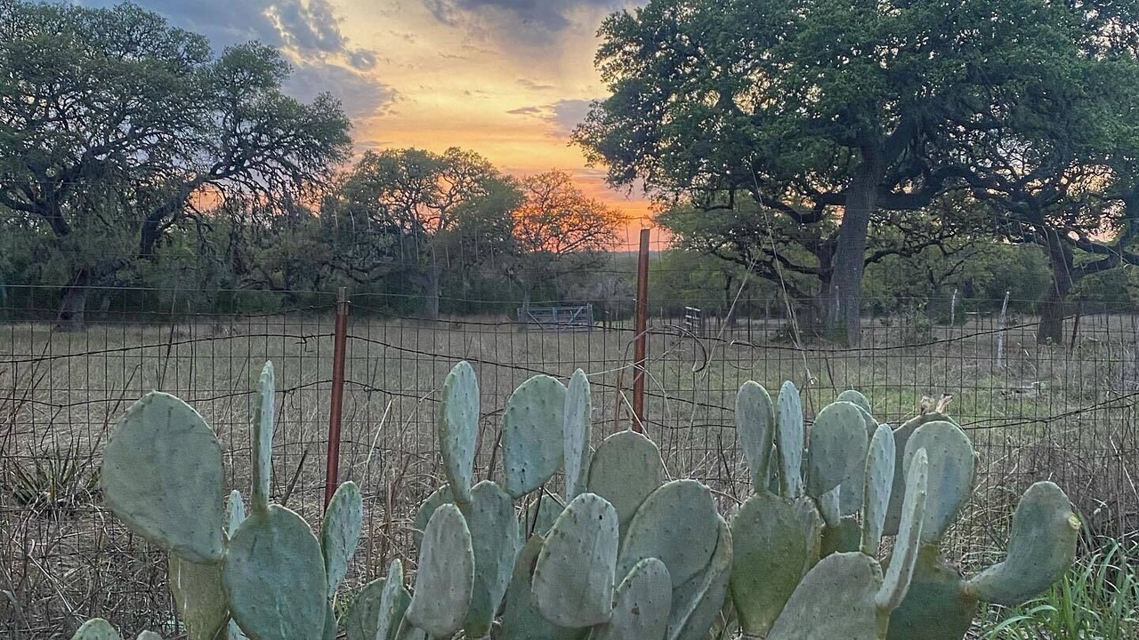 Photo of Outdoor in Boerne