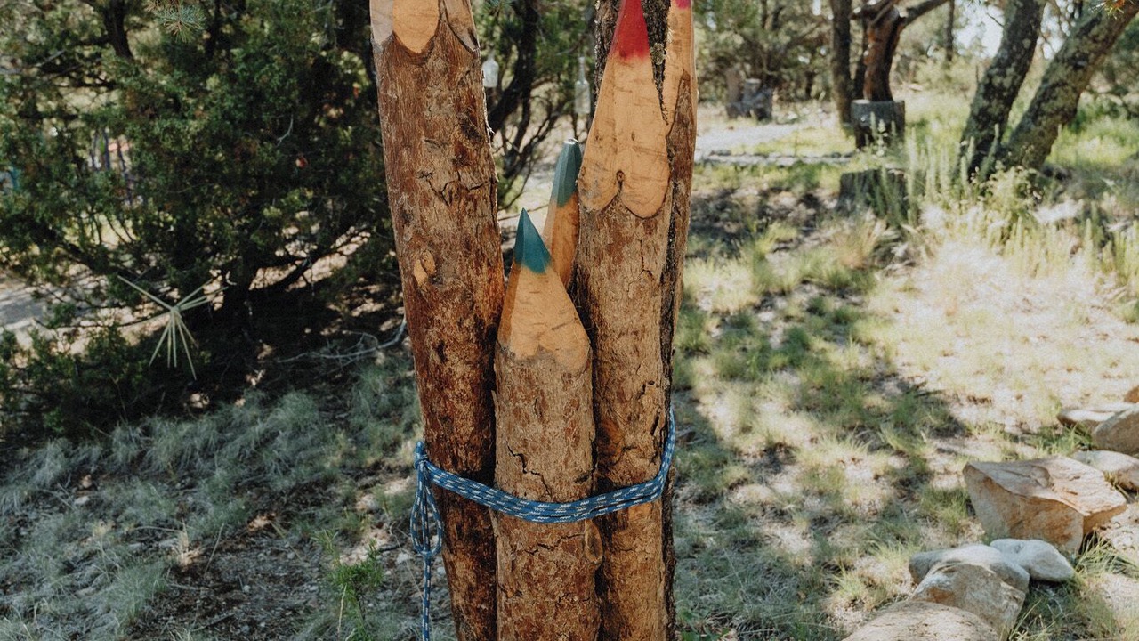 Photo of Others in Nogal