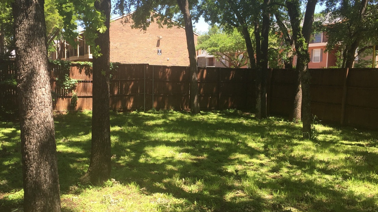Photo of Others in Arlington