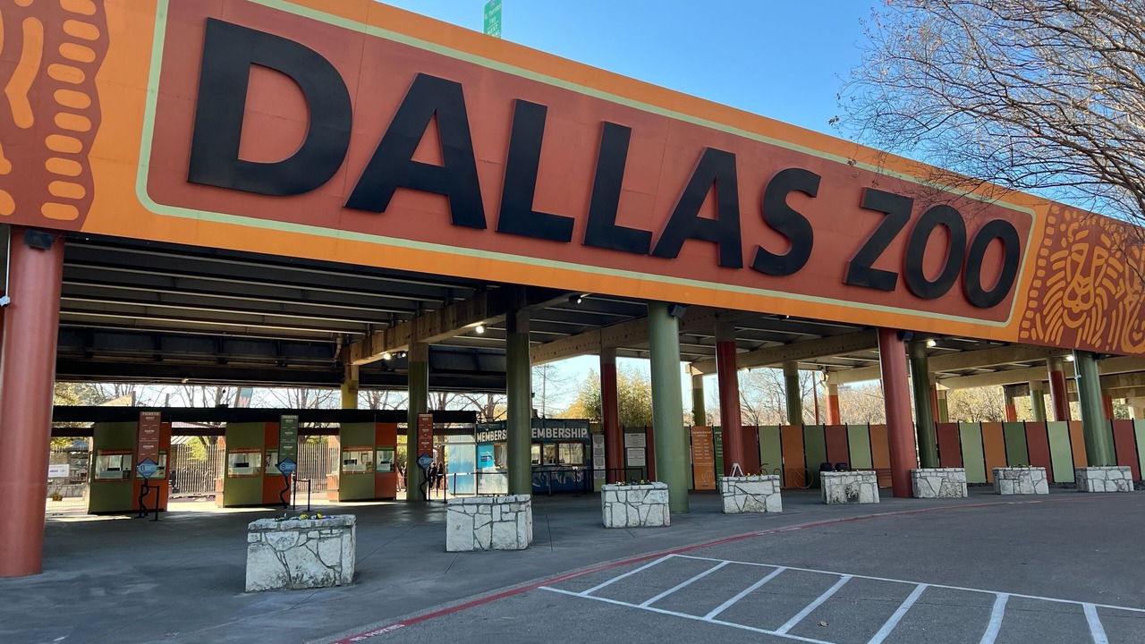 Photo of Others in Dallas