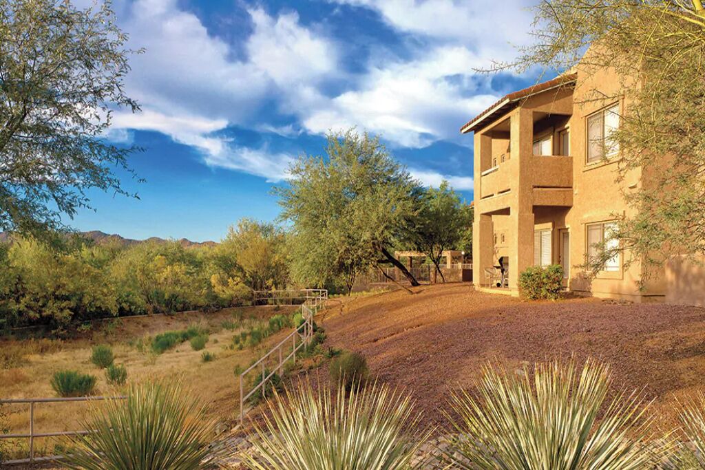 Photo of Outdoor in Rancho Vistoso