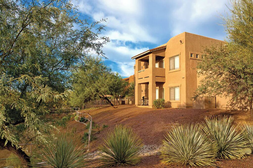 Photo of Outdoor in Rancho Vistoso