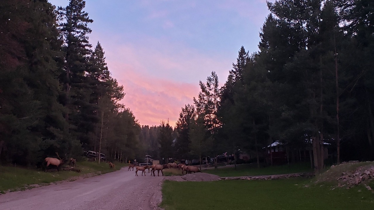 Photo of Others in Cloudcroft
