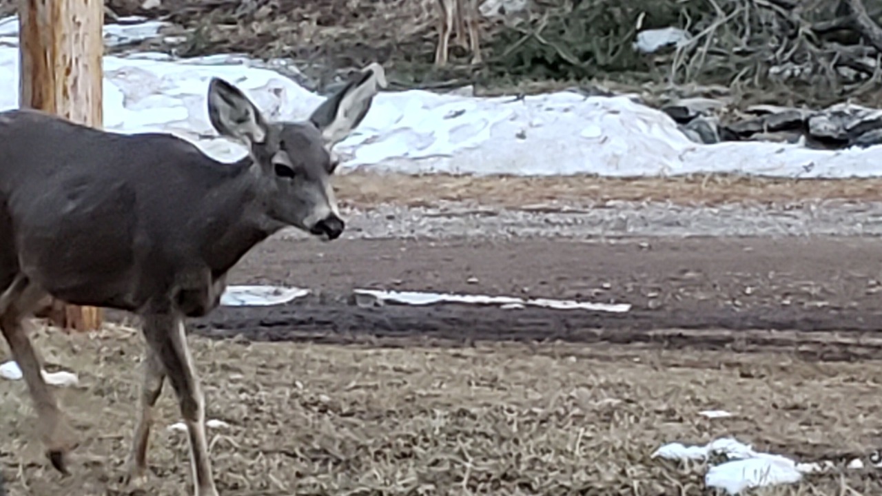Photo of Others in Cloudcroft