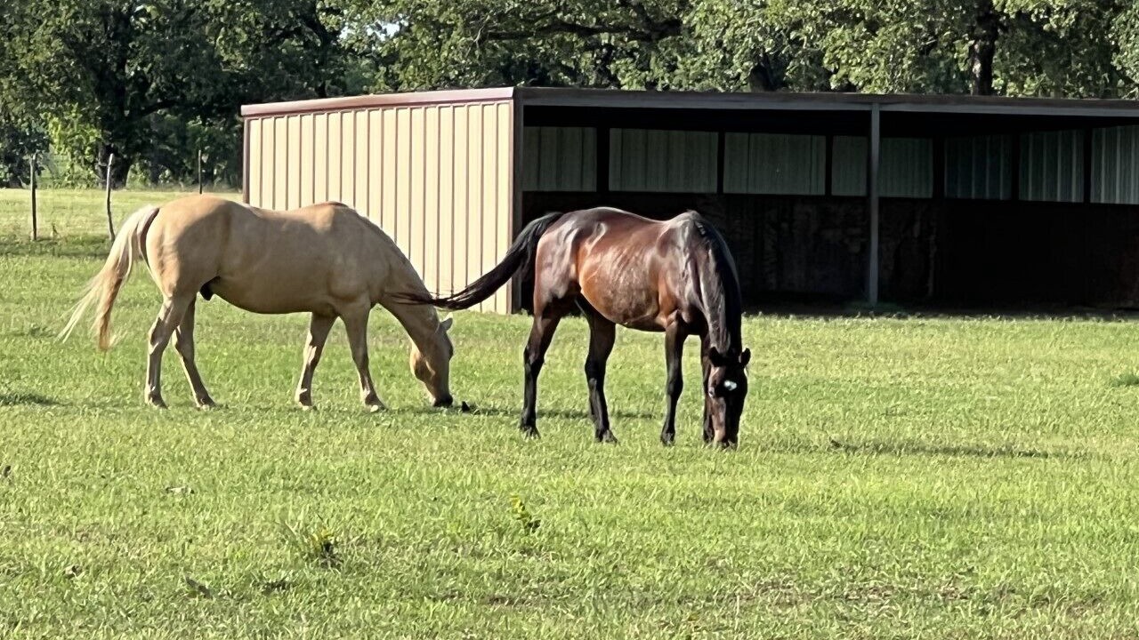 Photo of Outdoor in Granbury