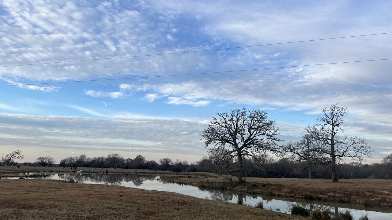 Photo of Others in Bryan
