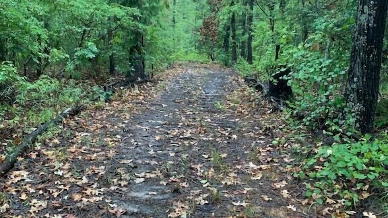 Photo of Others in Wood County