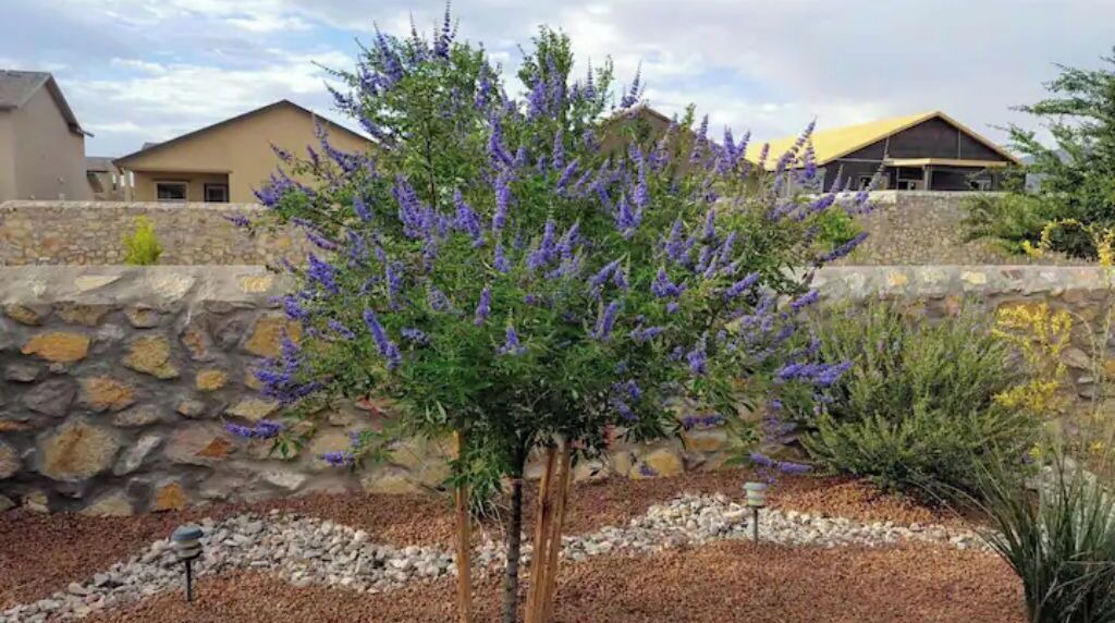 Photo of Outdoor in Chamberino