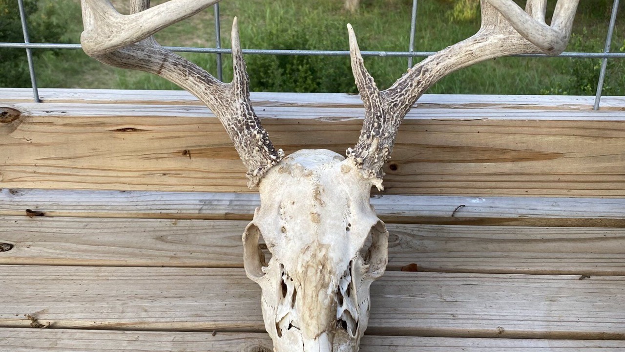Photo of Outdoor in Canyon Lake