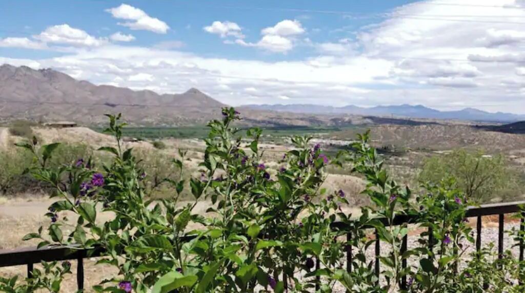 Photo of Outdoor in Rio Rico