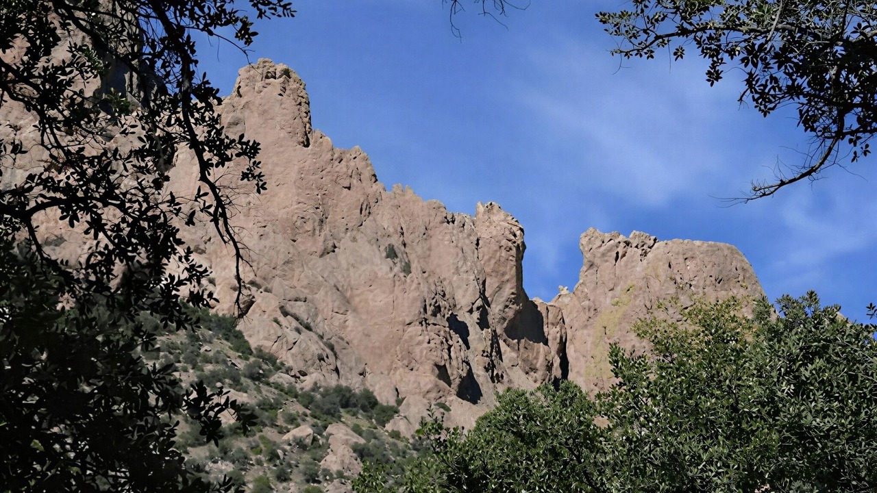 Photo of Others in Animas