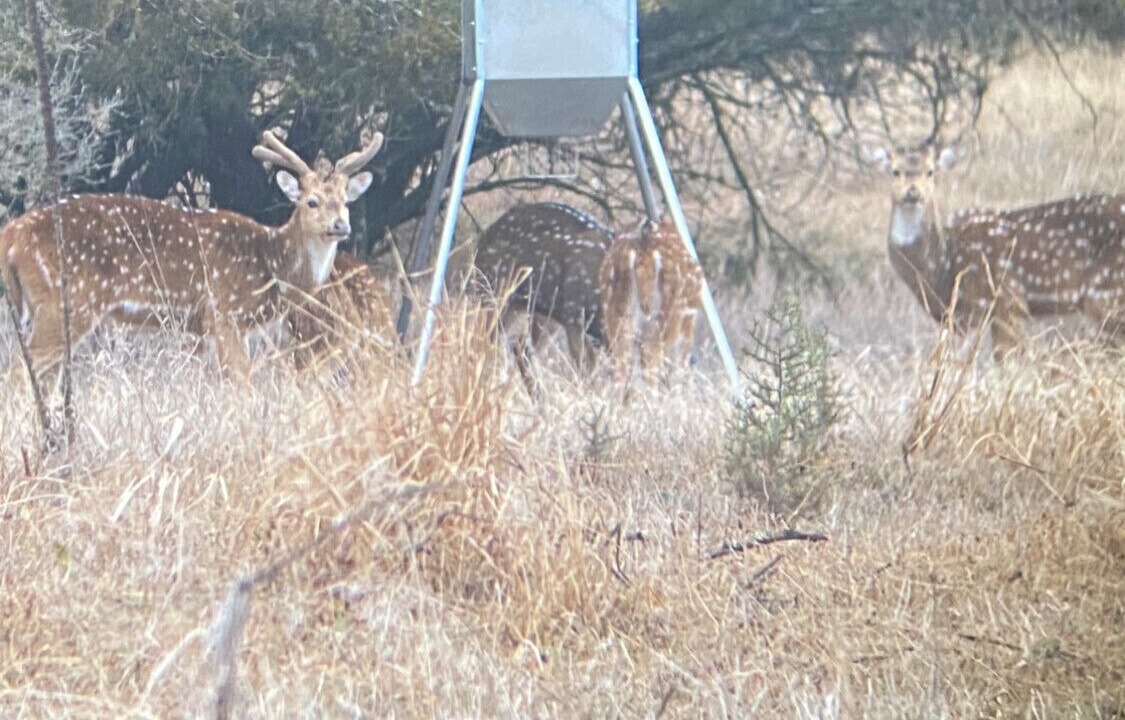 Photo of Others in Fredericksburg